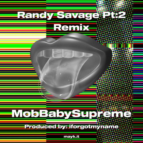 Randy Savage Pt:2 Remix