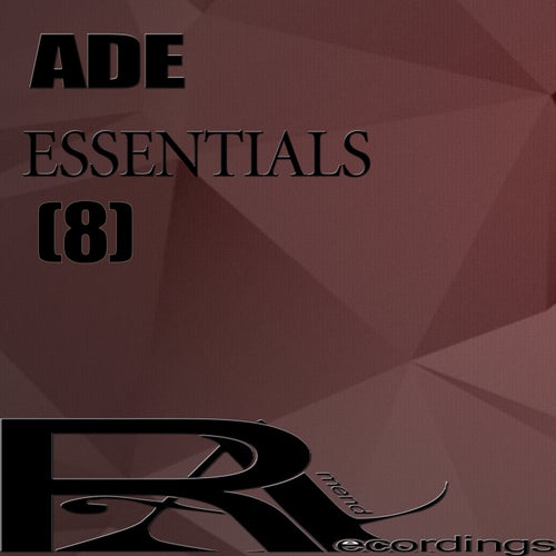 ADE ESSENTIALS 2018 (8)