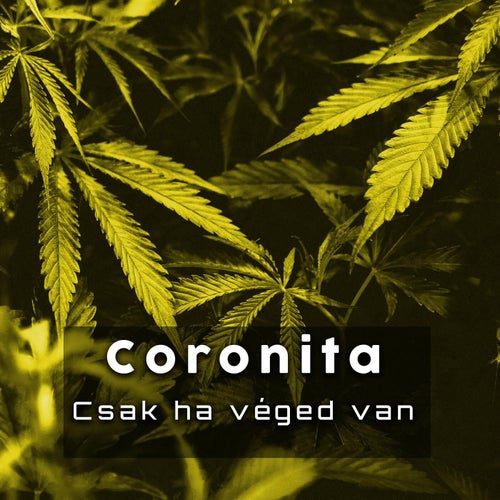 Csak ha véged van