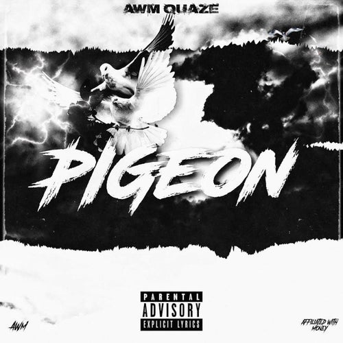 Pigeon