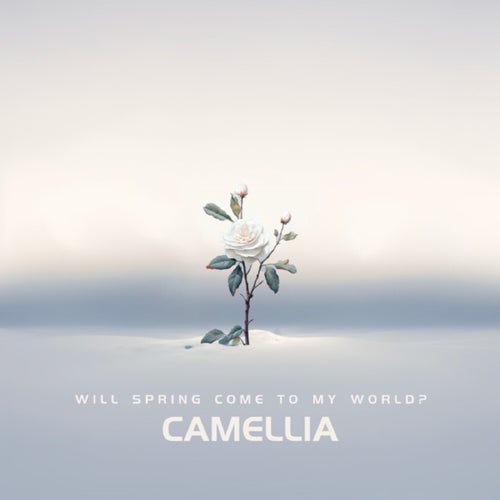 Camellia