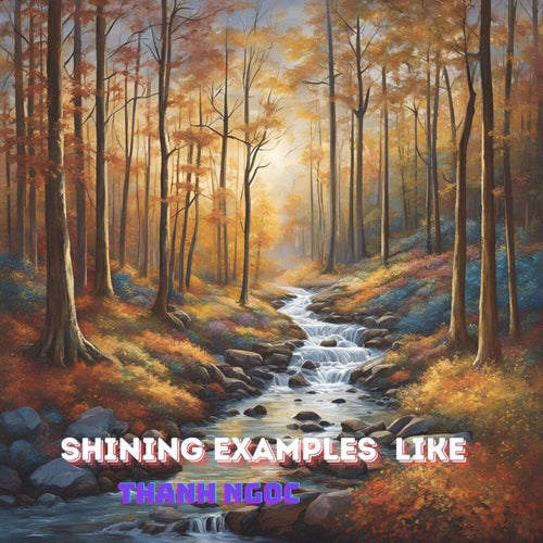 Shining Examples  Like