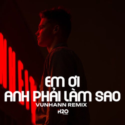 Em Ơi Anh Phải Làm Sao (Remix)