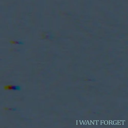 I Want To Forget