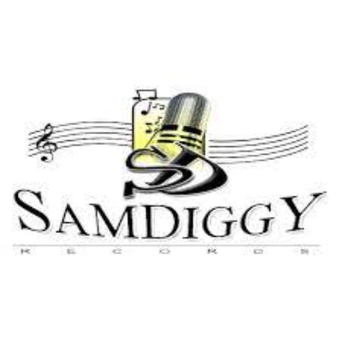 Sam Diggy Music Profile