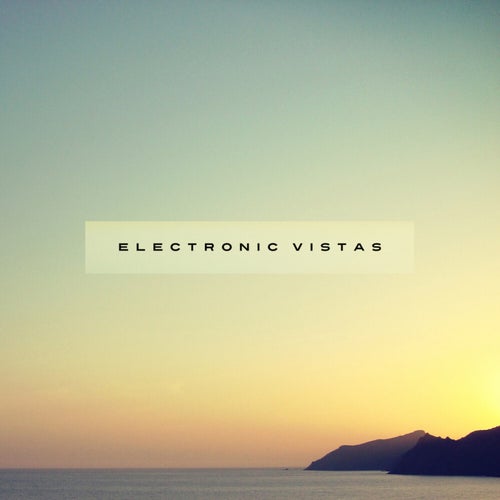 Electronic Vistas