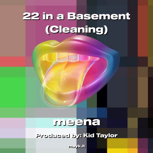 22 in a Basement (Cleaning)