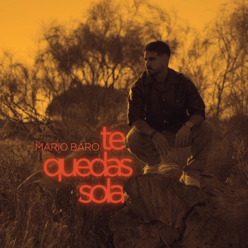 Te Quedas Sola