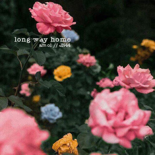 Long Way Home (feat. JN44)