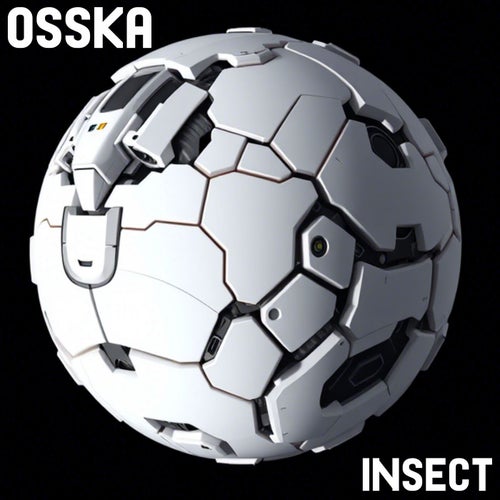 INSECT