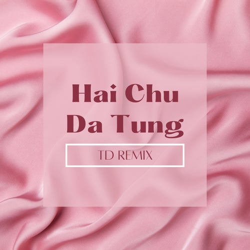 Hai Chữ Đã Từng (TD Remix) [Full Instrumental]