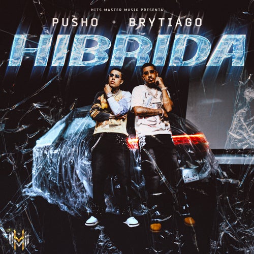 Hibrida