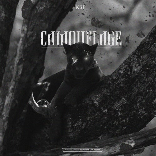 CAMOUFLAGE