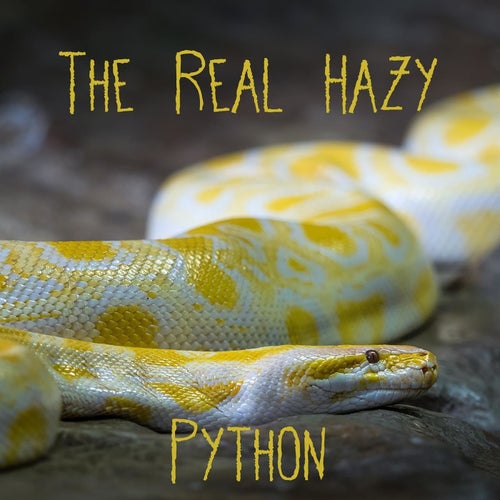 Python