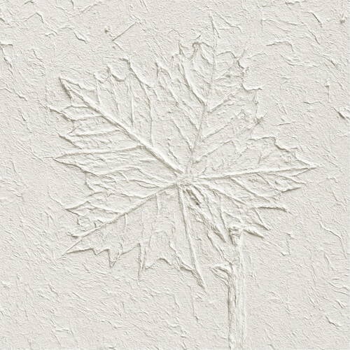 platanus