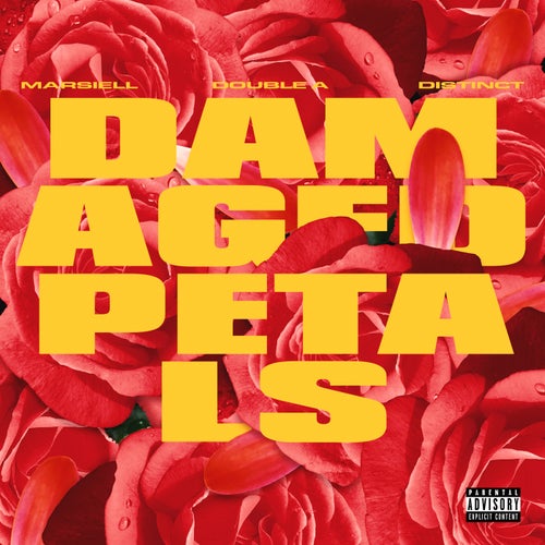 Damaged Petals (feat. Distinct & Double A)