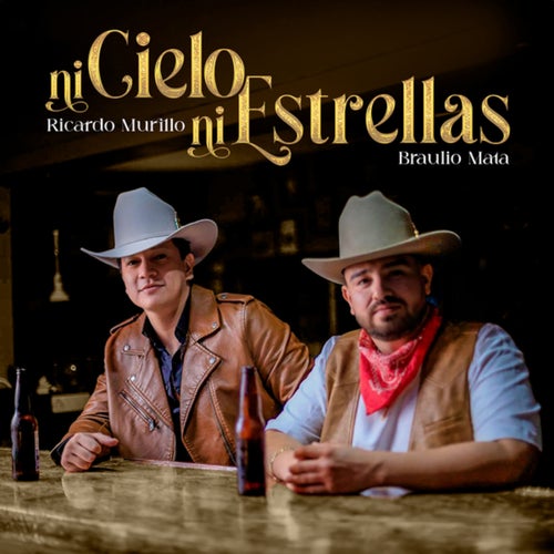 Ni Cielo, Ni Estrellas