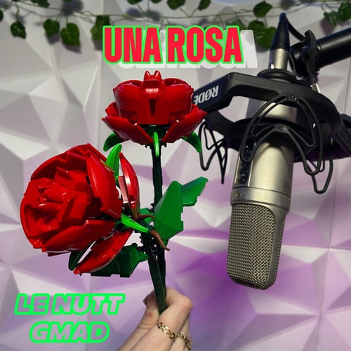 UNA ROSA