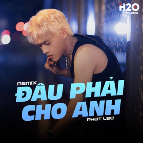 Đâu Phải Cho Anh (Remix)