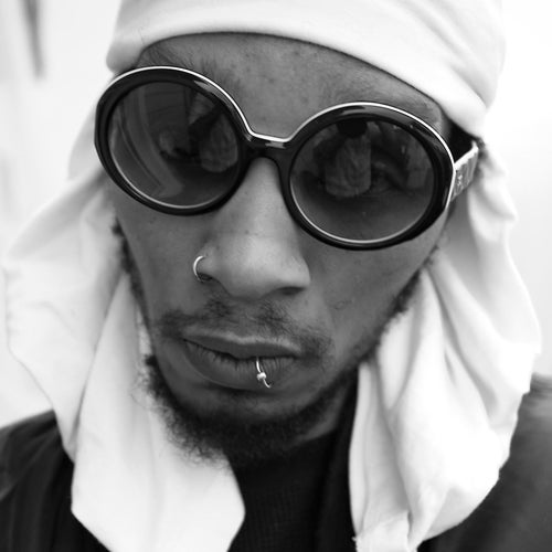 Del the Funky Homosapien Profile