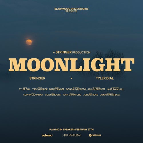 Moonlight (feat. Tyler Dial)