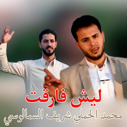 ليش فارقت