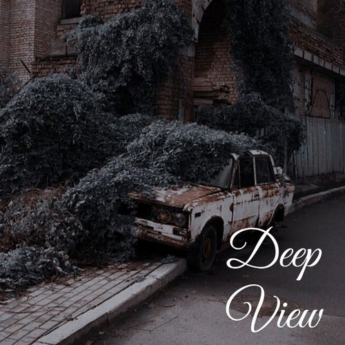 Deep View