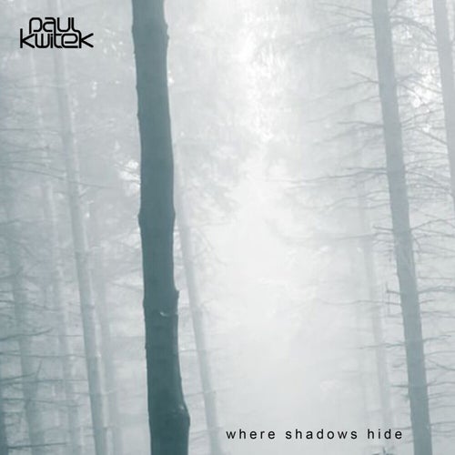 Where Shadows Hide