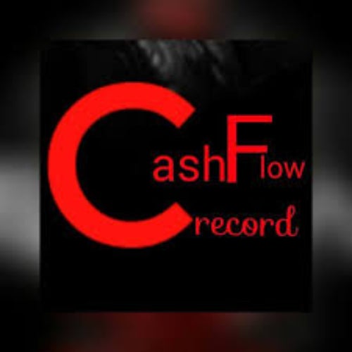 Cashflow Recordz Profile