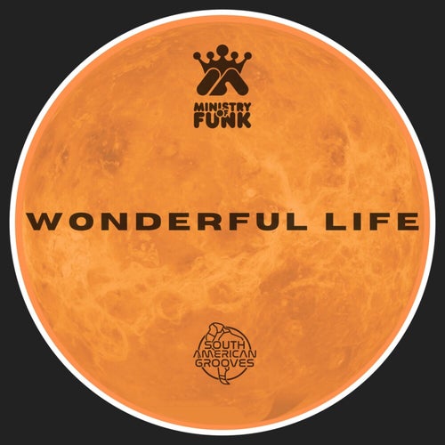 Wonderful Life