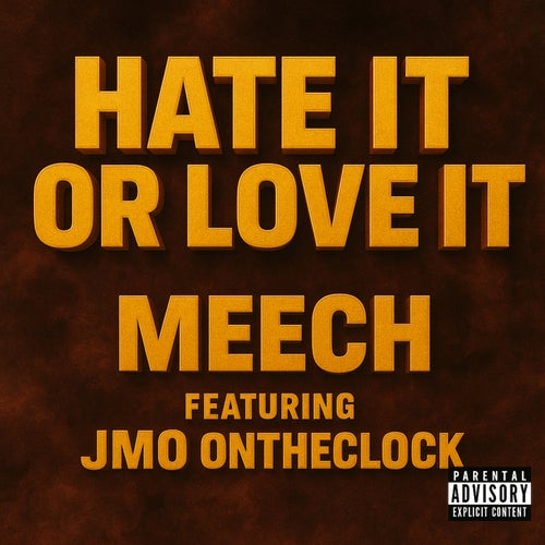 Hate Or Love It