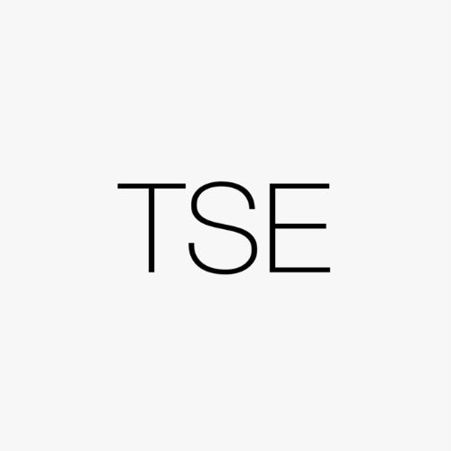 T.S.E Music Profile