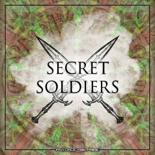 Secret Soldiers