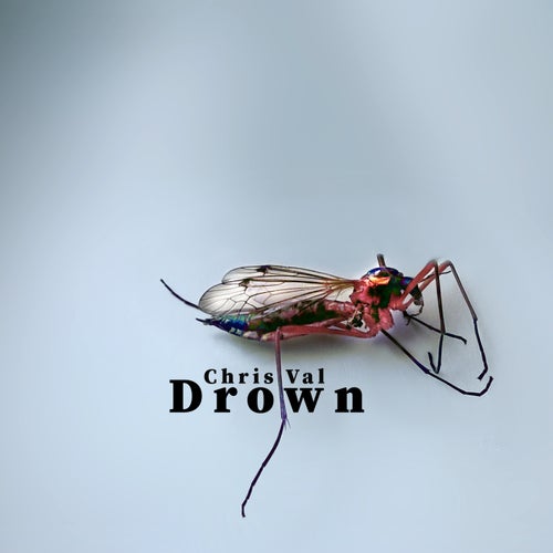 Drown