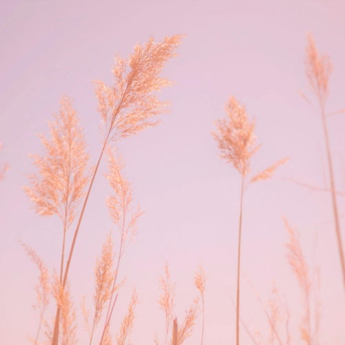 Sleepy Ambient Sketch