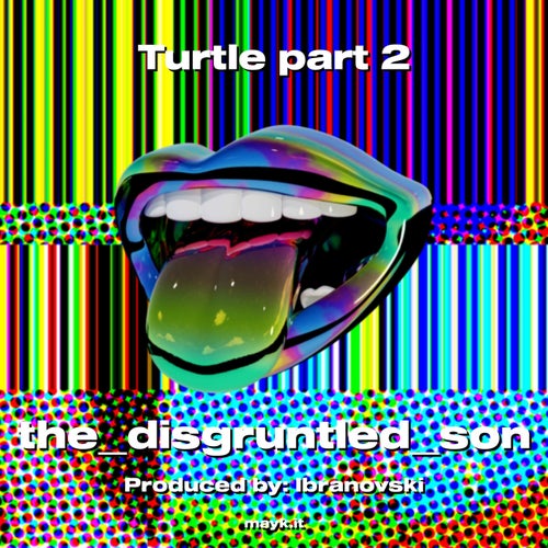 Turtle part 2