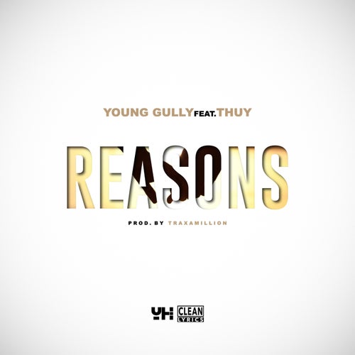 Reasons (feat. Thuy) - Single