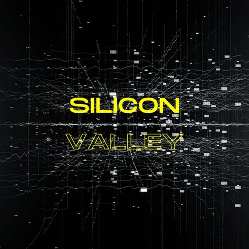 Silicon Valley