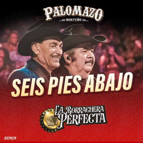 Seis Pies Abajo (En Vivo)