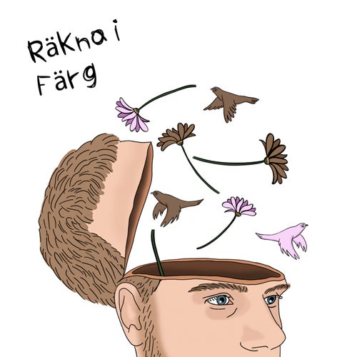 Räkna i färg