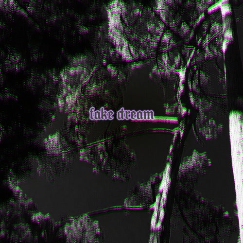 Fake Dream