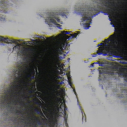 Bleed