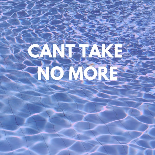 Can't Take No More (feat. DjLightup Prince)