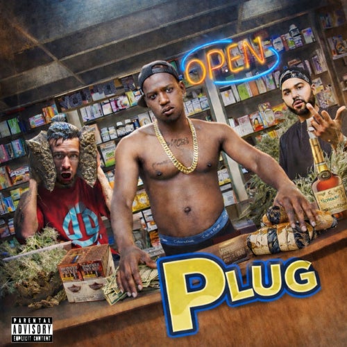 Plug