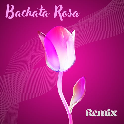 Bachata Rosa