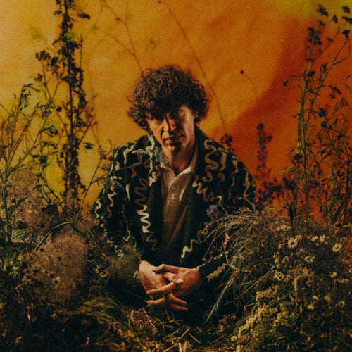 Cosmo Sheldrake Profile