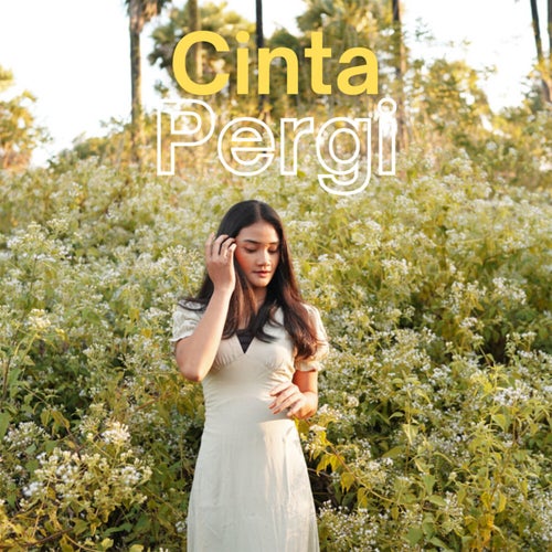 Cinta Pergi