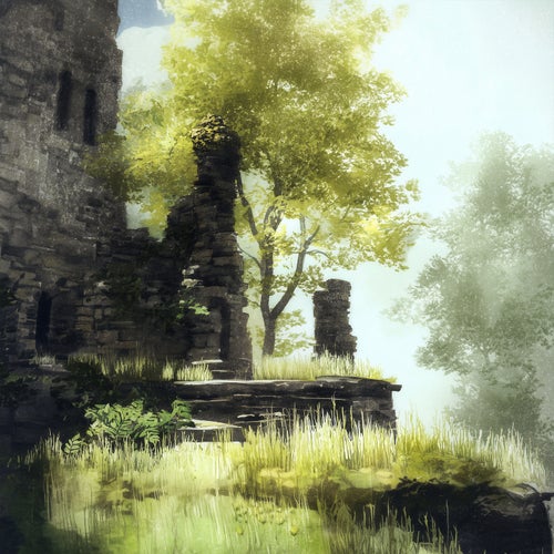 forest
