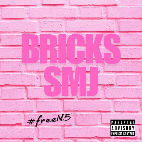 Bricks