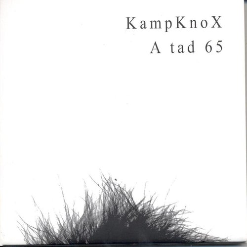 A tad 65